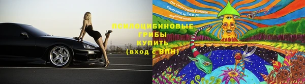 PSILOCYBIN Алексин