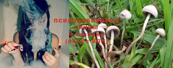 PSILOCYBIN Алексин