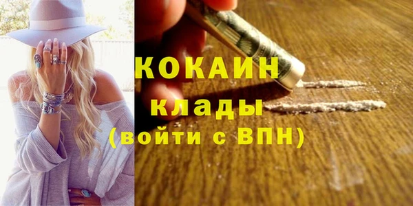 молекула духа Слюдянка