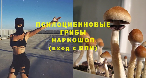 дмт Алексеевка
