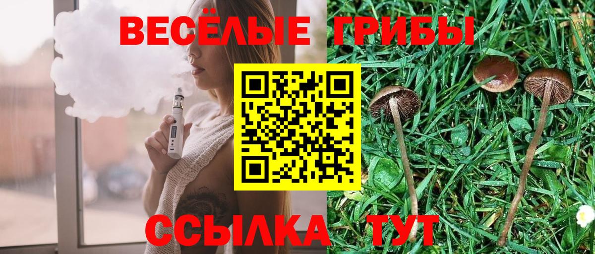 Десногорск  магазин продажи   Вход с VPN  Псилоцибиновые грибы Psilocybe 