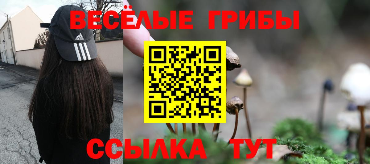 Псилоцибиновые грибы Cubensis Десногорск
